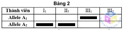 bang 3