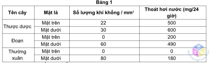 bang1