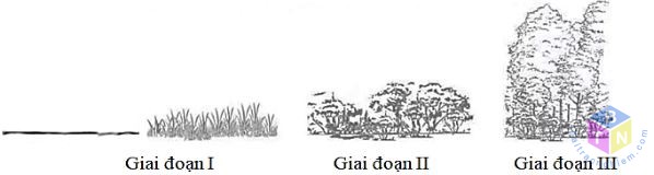 giai doan dien the
