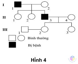 hinh 4 1