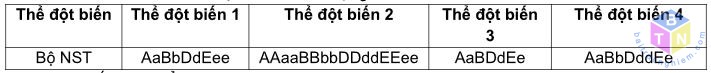 the dot bien