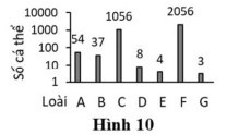 hinh 10