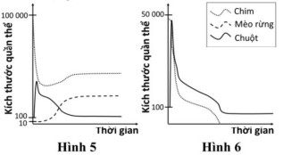 hinh 5 6