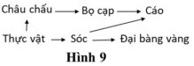 hinh 9