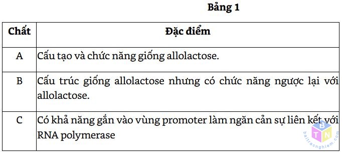 bang 1 de 5