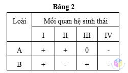 bang 2 de 4