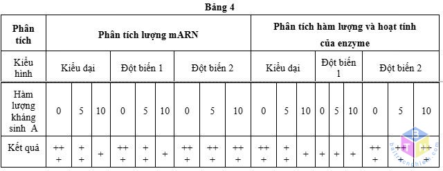 bang 4 de 4