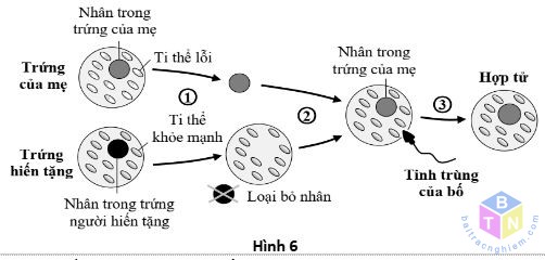 hinh 6 de 5