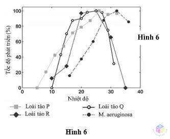 hinh 6