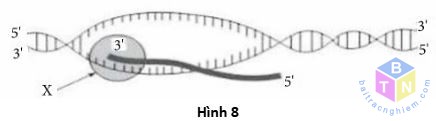 hinh 8 de 5