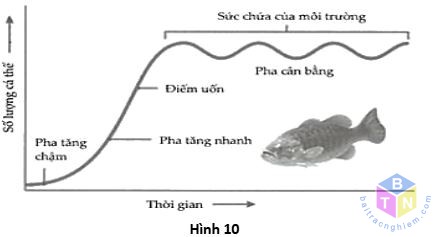 hinh10 de 5